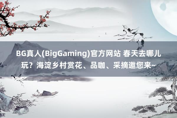 BG真人(BigGaming)官方网站 春天去哪儿玩？海淀乡村赏花、品咖、采摘邀您来~