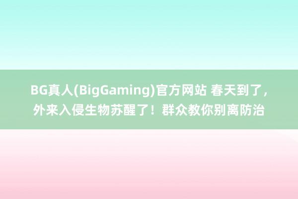 BG真人(BigGaming)官方网站 春天到了，外来入侵生物苏醒了！群众教你别离防治