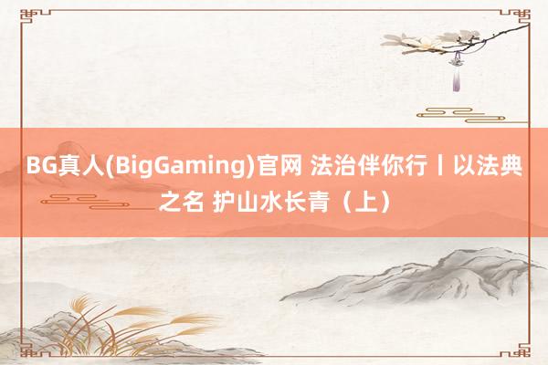 BG真人(BigGaming)官网 法治伴你行丨以法典之名 护山水长青（上）
