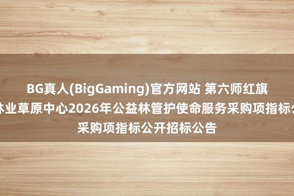 BG真人(BigGaming)官方网站 第六师红旗农场农业和林业草原中心2026年公益林管护使命服务采购项指标公开招标公告