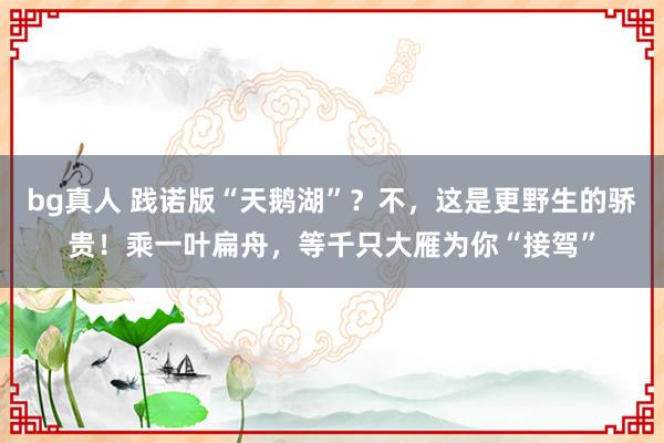 bg真人 践诺版“天鹅湖”？不，这是更野生的骄贵！乘一叶扁舟，等千只大雁为你“接驾”