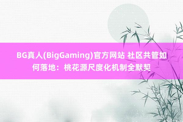 BG真人(BigGaming)官方网站 社区共管如何落地：桃花源尺度化机制全默契