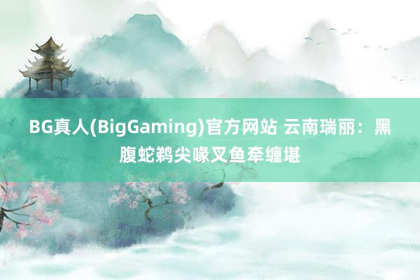 BG真人(BigGaming)官方网站 云南瑞丽：黑腹蛇鹈尖喙叉鱼牵缠堪