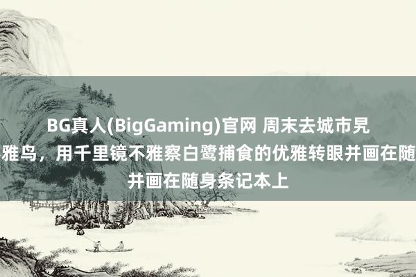 BG真人(BigGaming)官网 周末去城市旯旮的湿地不雅鸟，用千里镜不雅察白鹭捕食的优雅转眼并画在随身条记本上