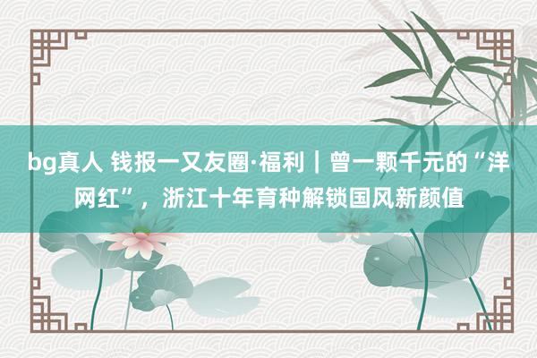 bg真人 钱报一又友圈·福利｜曾一颗千元的“洋网红”，浙江十年育种解锁国风新颜值