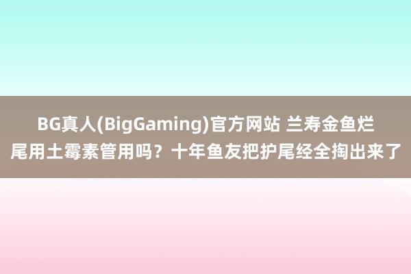 BG真人(BigGaming)官方网站 兰寿金鱼烂尾用土霉素管用吗？十年鱼友把护尾经全掏出来了