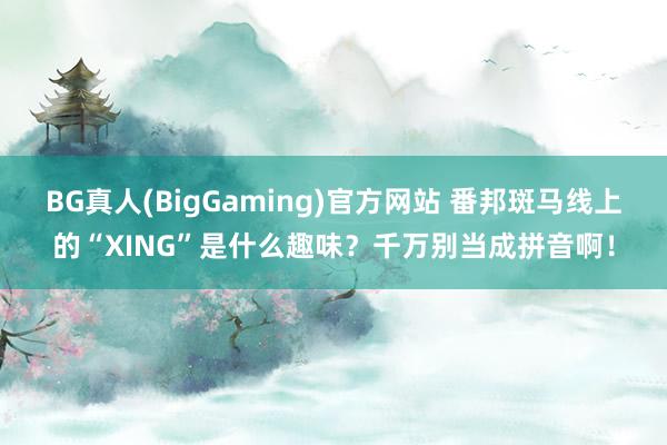 BG真人(BigGaming)官方网站 番邦斑马线上的“XING”是什么趣味？千万别当成拼音啊！