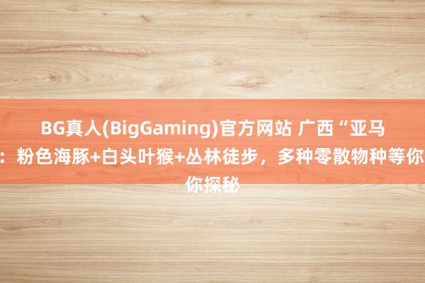 BG真人(BigGaming)官方网站 广西“亚马逊”：粉色海豚+白头叶猴+丛林徒步，多种零散物种等你探秘