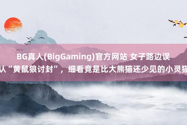 BG真人(BigGaming)官方网站 女子路边误认“黄鼠狼讨封”，细看竟是比大熊猫还少见的小灵猫