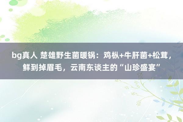 bg真人 楚雄野生菌暖锅：鸡枞+牛肝菌+松茸，鲜到掉眉毛，云南东谈主的“山珍盛宴”