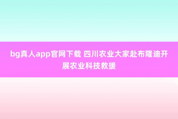 bg真人app官网下载 四川农业大家赴布隆迪开展农业科技救援