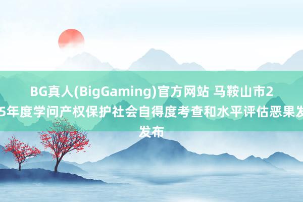 BG真人(BigGaming)官方网站 马鞍山市2025年度学问产权保护社会自得度考查和水平评估恶果发布