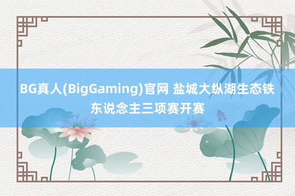 BG真人(BigGaming)官网 盐城大纵湖生态铁东说念主三项赛开赛