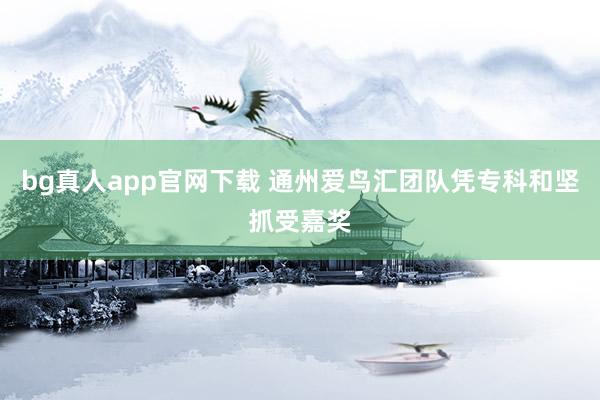 bg真人app官网下载 通州爱鸟汇团队凭专科和坚抓受嘉奖