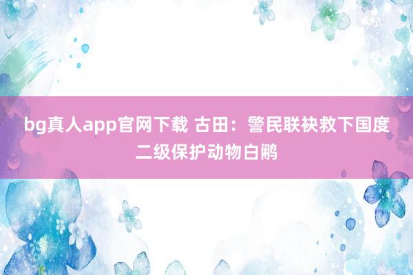 bg真人app官网下载 古田：警民联袂救下国度二级保护动物白鹇