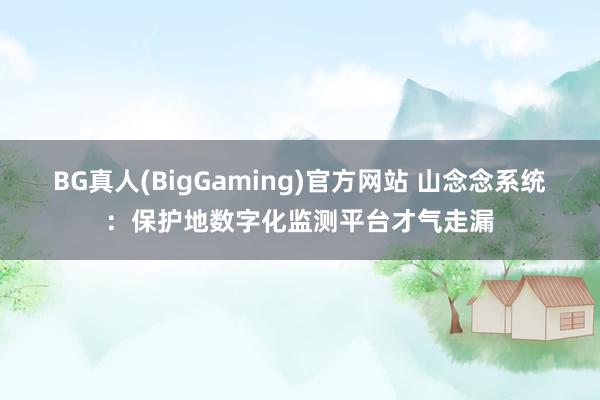 BG真人(BigGaming)官方网站 山念念系统：保护地数字化监测平台才气走漏