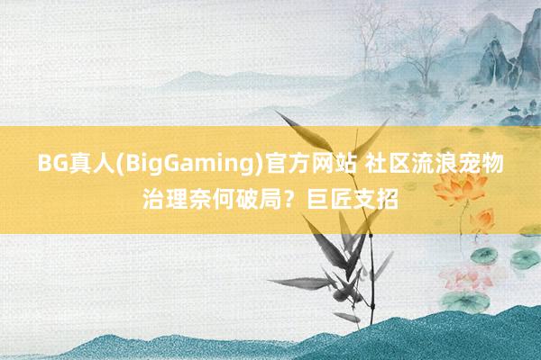 BG真人(BigGaming)官方网站 社区流浪宠物治理奈何破局？巨匠支招