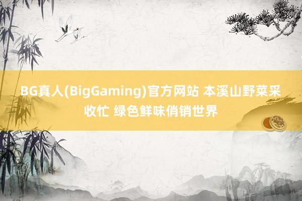 BG真人(BigGaming)官方网站 本溪山野菜采收忙 绿色鲜味俏销世界