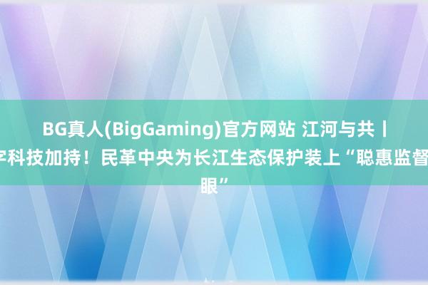 BG真人(BigGaming)官方网站 江河与共丨数字科技加持！民革中央为长江生态保护装上“聪惠监督眼”
