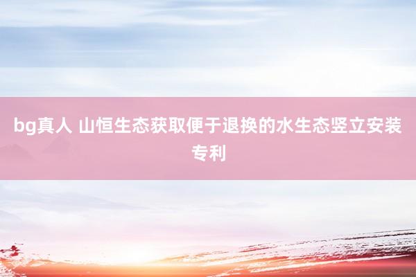 bg真人 山恒生态获取便于退换的水生态竖立安装专利