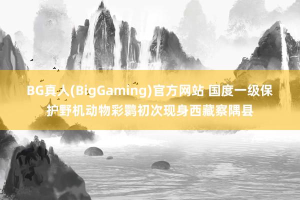 BG真人(BigGaming)官方网站 国度一级保护野机动物彩鹮初次现身西藏察隅县