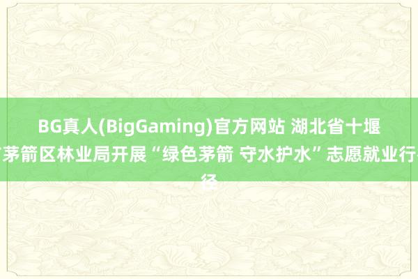 BG真人(BigGaming)官方网站 湖北省十堰市茅箭区林业局开展“绿色茅箭 守水护水”志愿就业行径