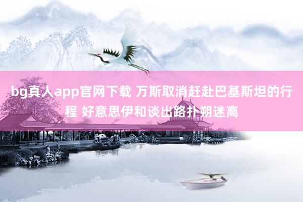 bg真人app官网下载 万斯取消赶赴巴基斯坦的行程 好意思伊和谈出路扑朔迷离