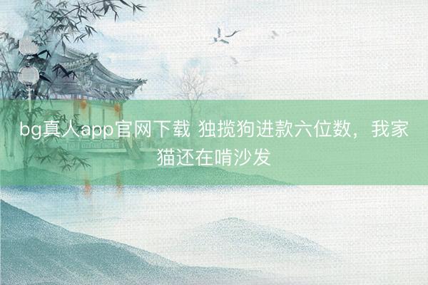 bg真人app官网下载 独揽狗进款六位数，我家猫还在啃沙发