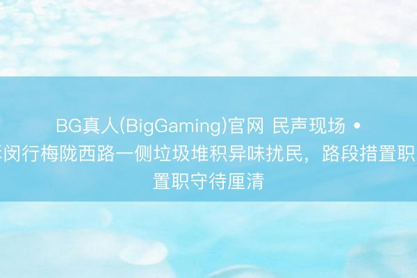 BG真人(BigGaming)官网 民声现场 •市民投诉闵行梅陇西路一侧垃圾堆积异味扰民，路段措置职守待厘清