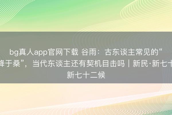 bg真人app官网下载 谷雨：古东谈主常见的“戴胜降于桑”，当代东谈主还有契机目击吗｜新民·新七十二候