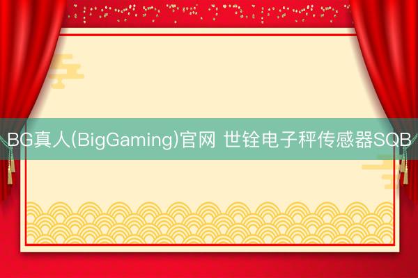 BG真人(BigGaming)官网 世铨电子秤传感器SQB