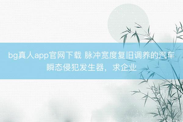 bg真人app官网下载 脉冲宽度复旧调养的汽车瞬态侵犯发生器，求企业